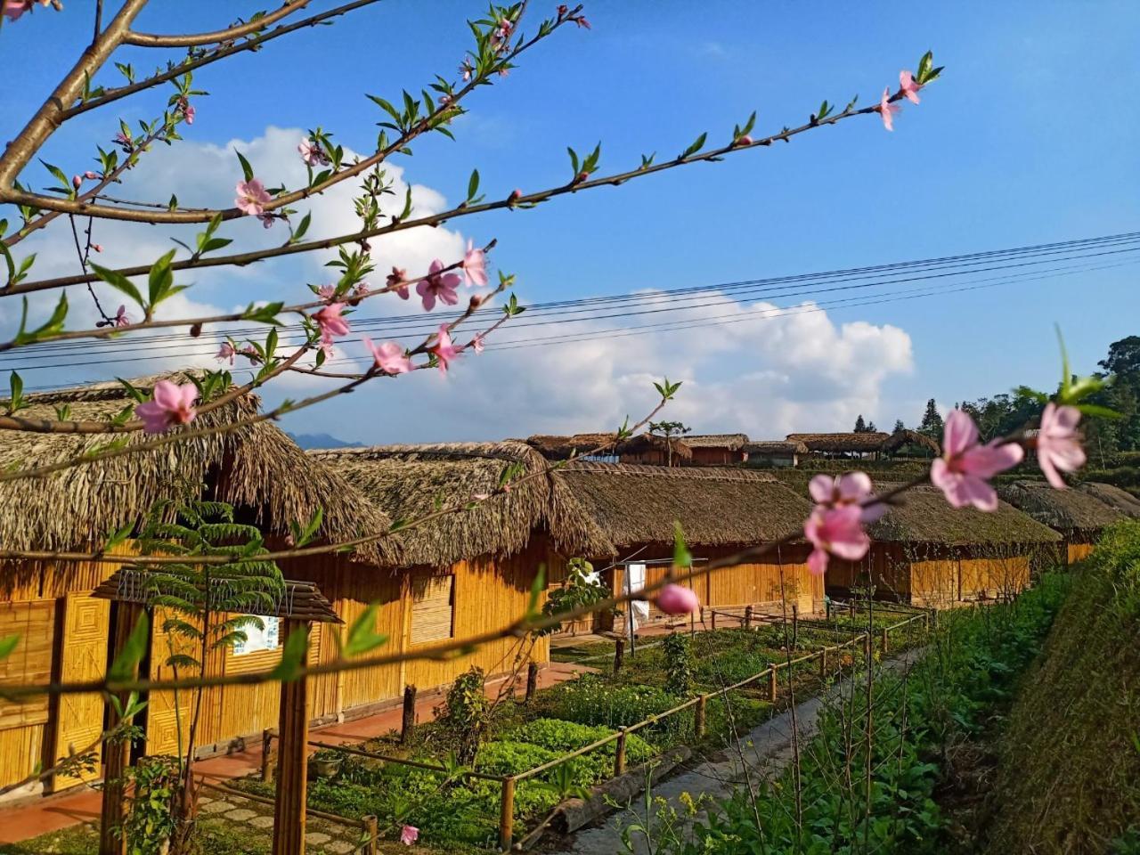 Dao Homestay Hoang Su Phi Exterior photo